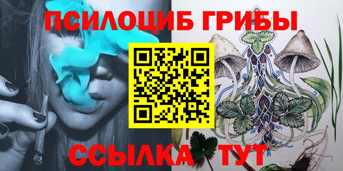 Галлюциногенные грибы Psilocybe Белово