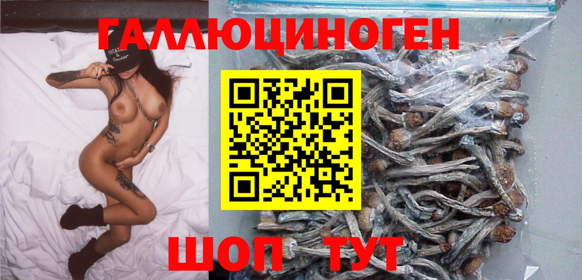 Галлюциногенные грибы GOLDEN TEACHER  Псилоцибиновые грибы мицелий  где купить   Белово  Вход с VPN 